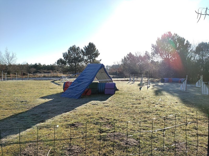 Parentis Education Canine - photo 1