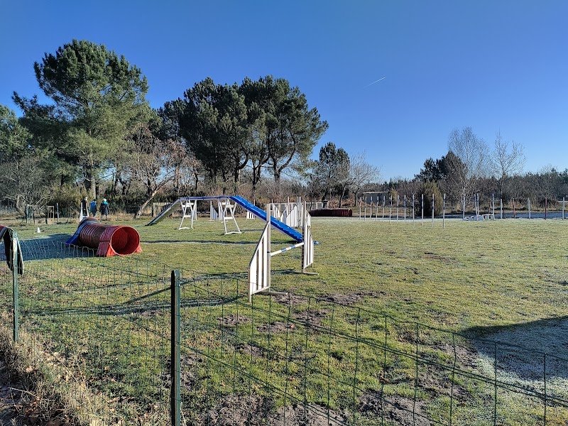 Parentis Education Canine - photo 3