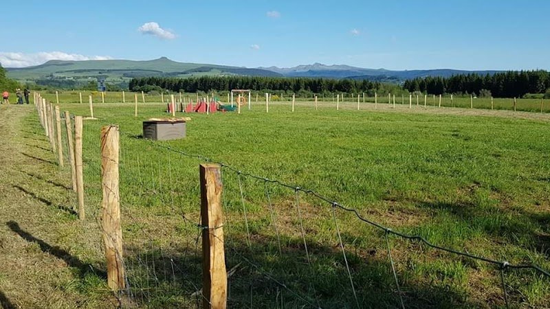 Club canin Patt'agiles - photo 1