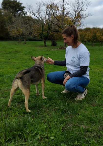 Respect'educ canin - photo 2