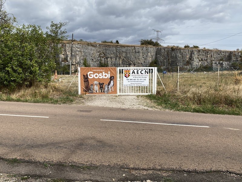 AECN Amicale d' Education Canine de Nuits-Saint-Georges - photo 3