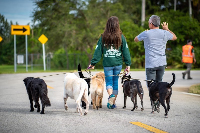 Dressage Alliance Canin - photo 3