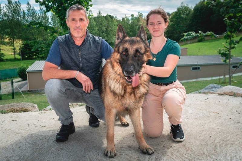 Pension Canine et Féline - LONG BEC D'ENCHANET