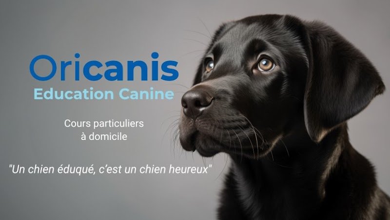 Oricanis - Educateur canin - photo 1