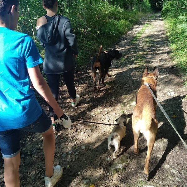 Oricanis - Educateur canin - photo 2