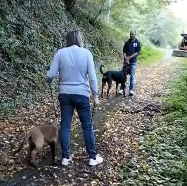 Oricanis - Educateur canin - photo 3