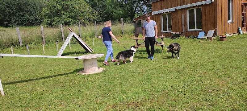 Le Domaine de Look (pension, comportementaliste éducateur canin, médiation animale) Ouvert tous les jours sur rendez-vous - photo 2