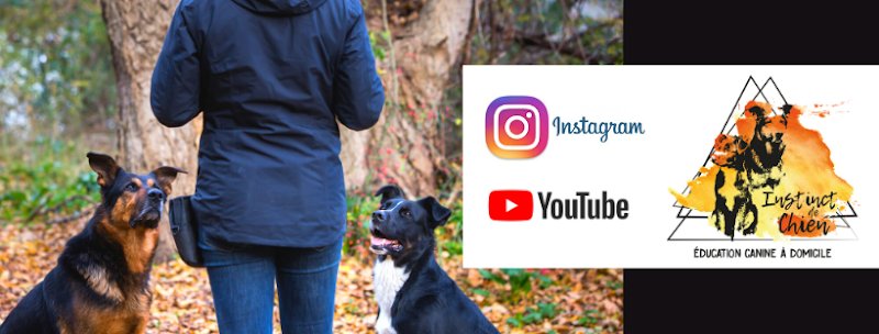 Instinct de Chien - Education canine Lot - Aveyron - photo 1
