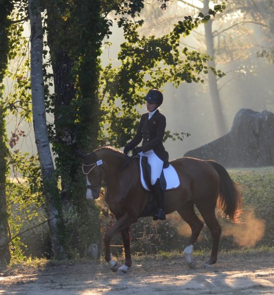 Les Liens d'Armor - Nelly HOPP - éducation canine, médiation animale, dressage - photo 2