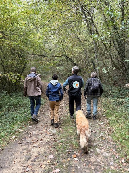 Les Liens d'Armor - Nelly HOPP - éducation canine, médiation animale, dressage - photo 3