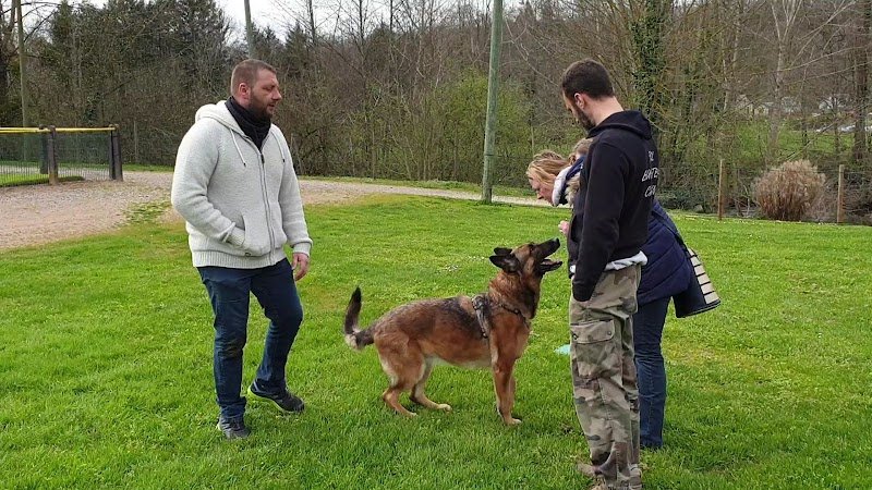 FKL education canine - photo 2