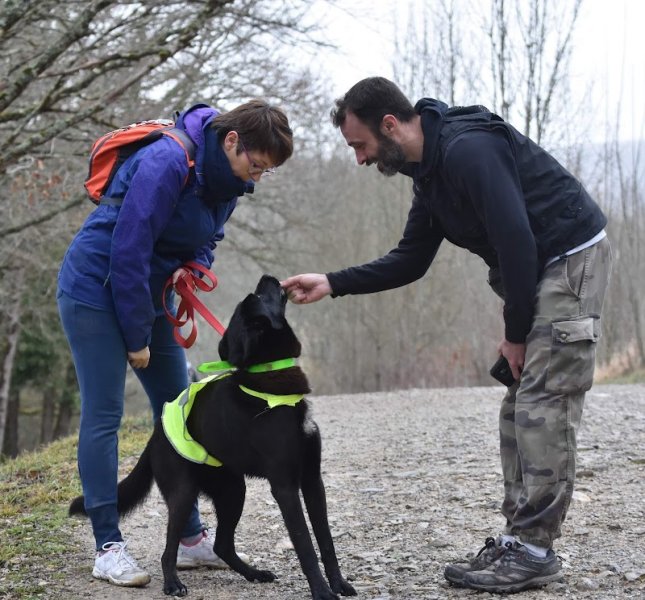 FKL education canine - photo 3