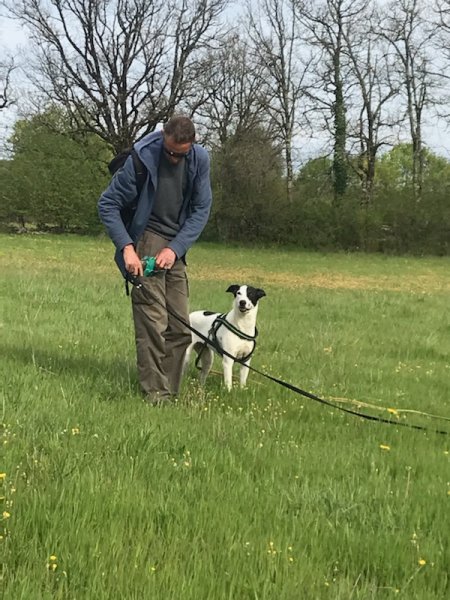 Marina Collet Comportementaliste Éducateur Canin - photo 3
