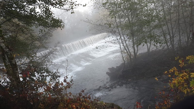 Espace liberté pour chiens de Peyrolles - photo 1