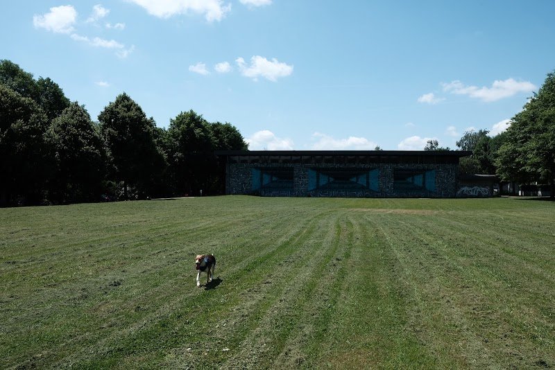 Espace liberté pour chiens de Peyrolles - photo 2