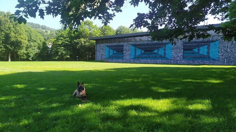 Espace liberté pour chiens de Peyrolles - photo 3