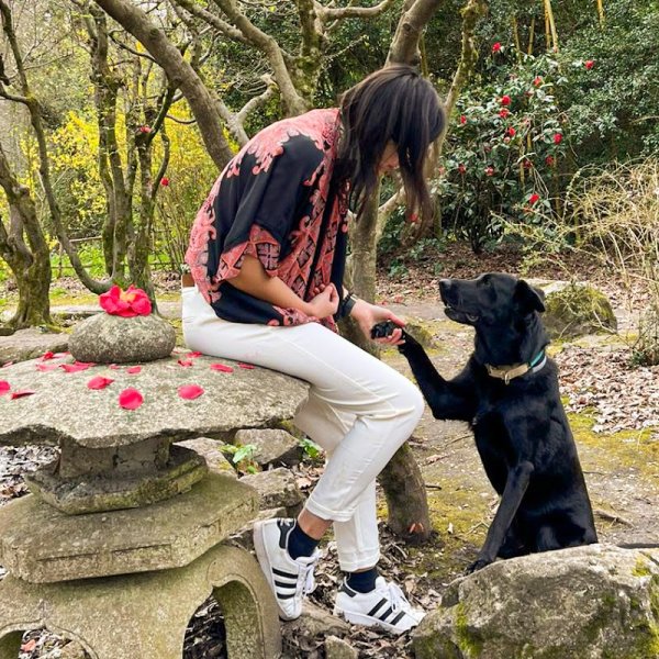 Activ Canin - photo 1