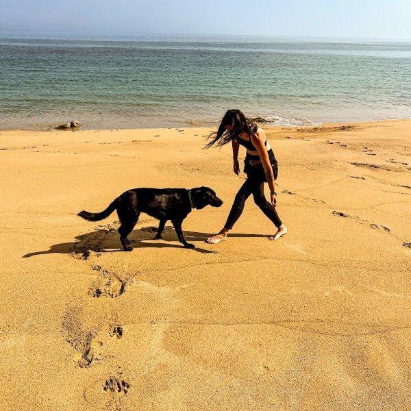 Activ Canin - photo 2