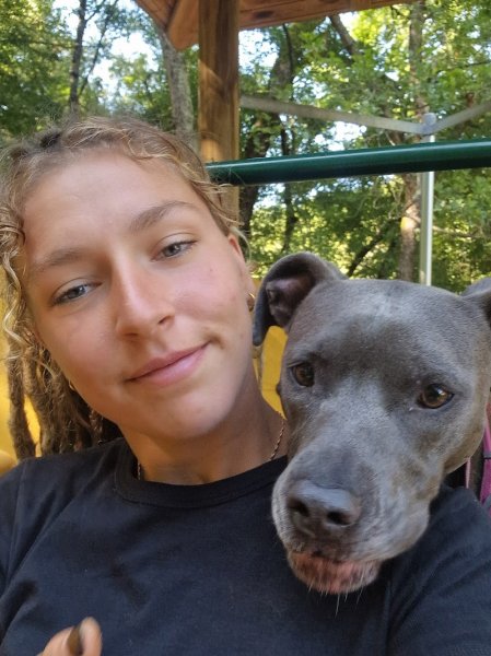 Helo dog training - éducateur canin intervenant en comportement