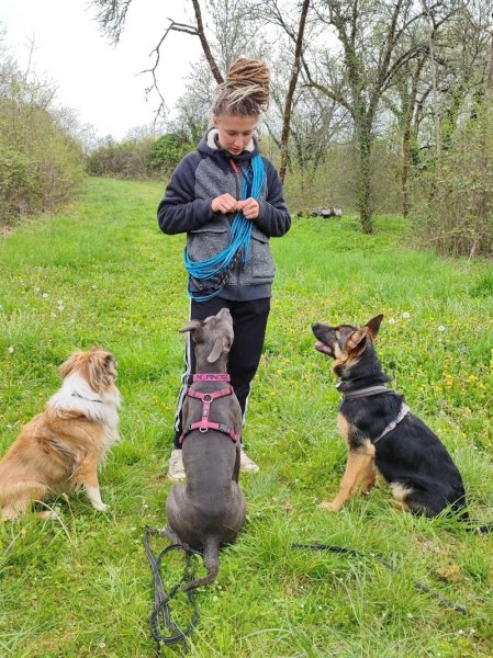 Helo dog training - éducateur canin intervenant en comportement - photo 3