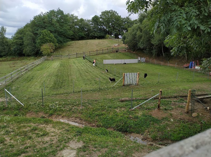 CLUB CANIN DE VORS AVEYRON - photo 2