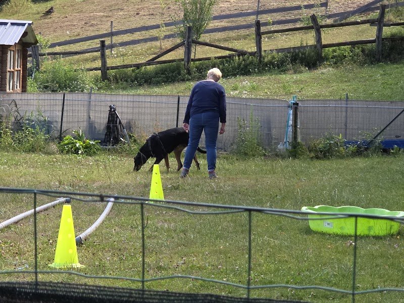CLUB CANIN DE VORS AVEYRON - photo 3