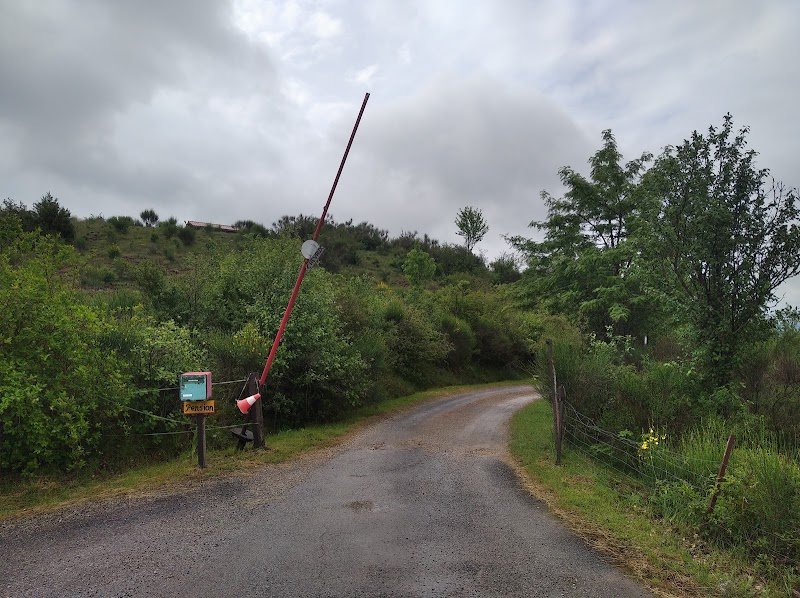 Pension canine Rinaudo - photo 2