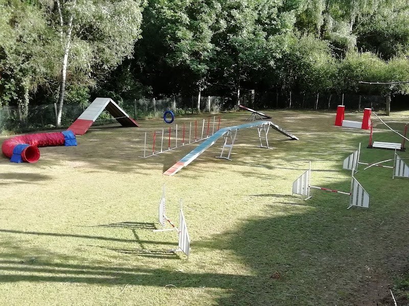 Club Canin Cani Sport du Ségala Baraqueville