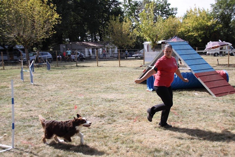 Club Canin Cani Sport du Ségala Baraqueville - photo 3