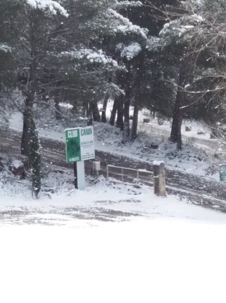 Club Canin La Valette - photo 3