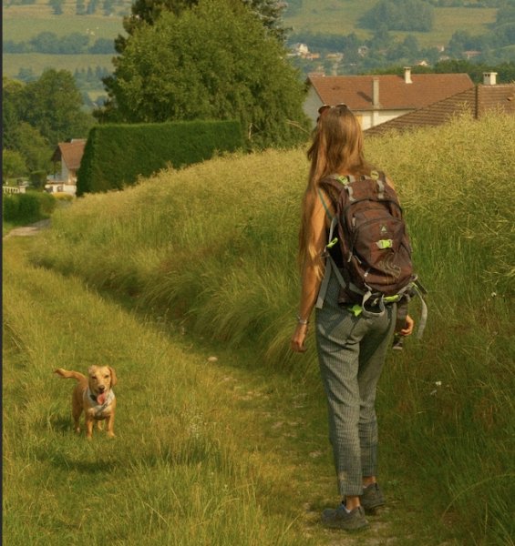 L’Arche de Noema - Éducation canine, comportement félin & Promeneuse - photo 2