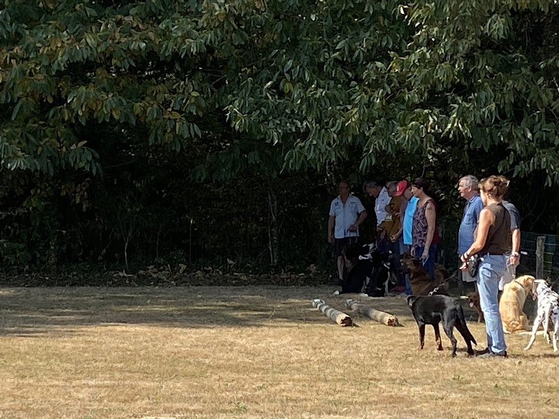 Club d’éducation Canine Thiviers - photo 3