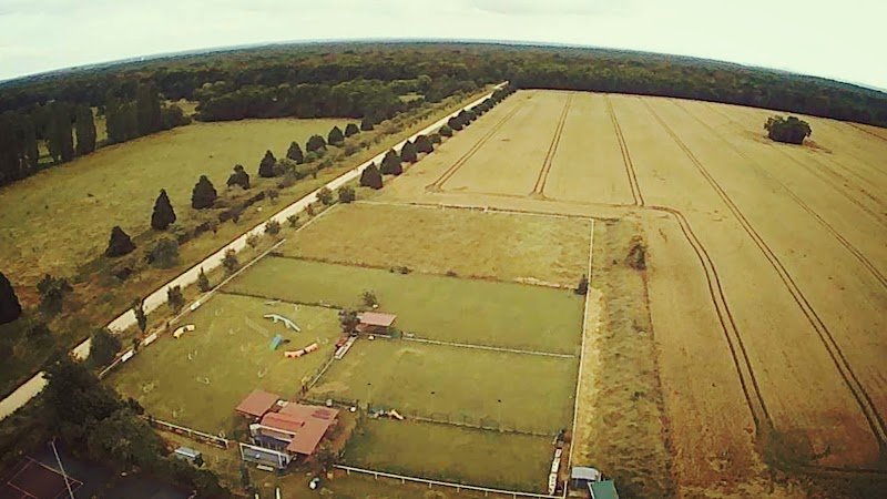 Club Canin Senart Saint Pierre du Perray - photo 3