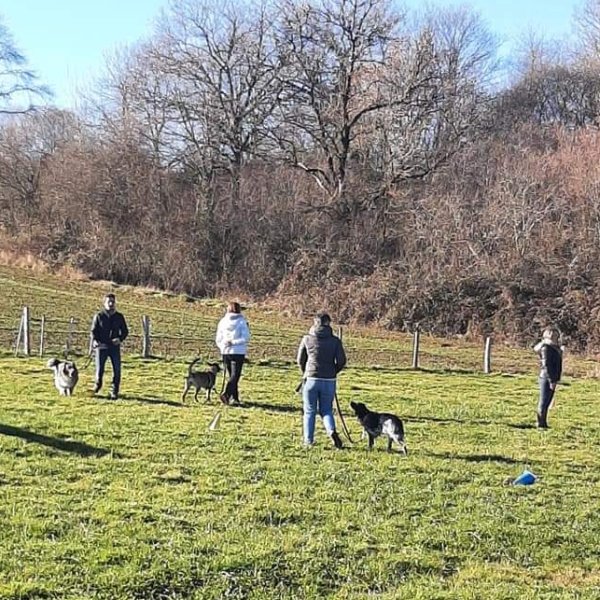 Centre d'Éducation Canine de Magnac Bourg Club Canin Happy Dog - photo 3