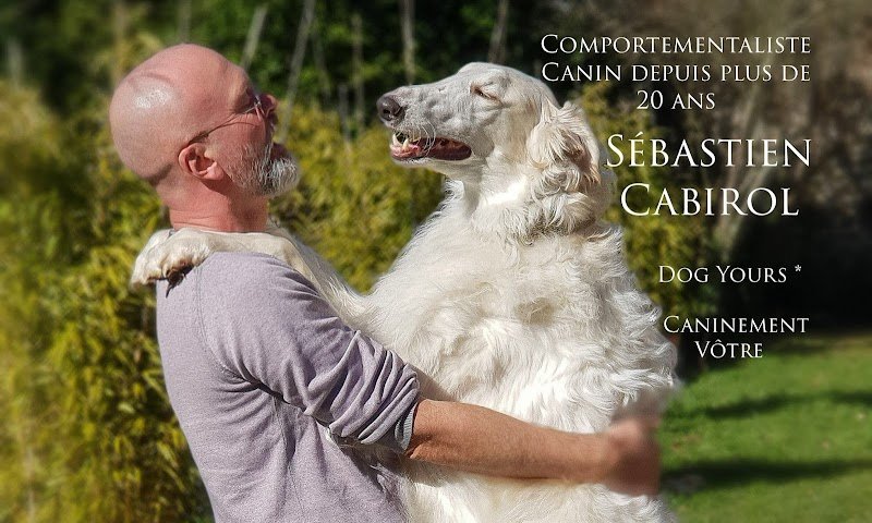 Dog Yours | Sébastien Cabirol - Comportementaliste canin reconnu à Limoges et en Haute Vienne, 87