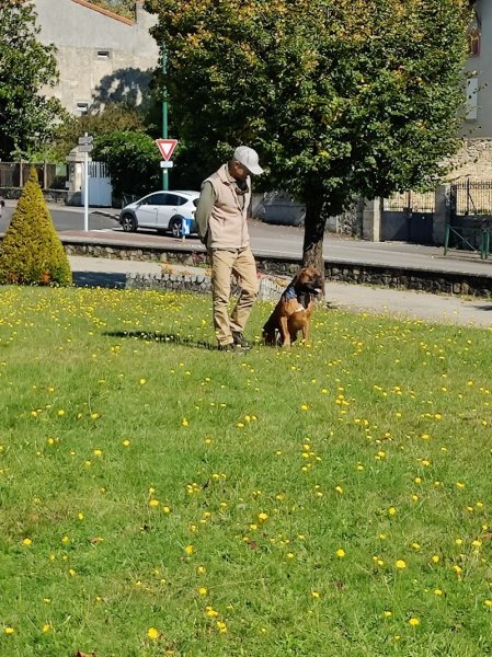 Les Petites Personnes · Educatrice Comportementaliste Canin - photo 2