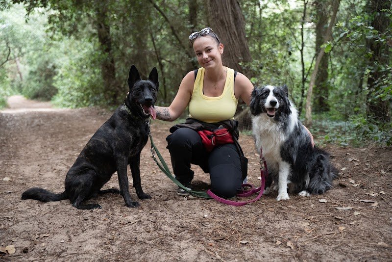 Éducateur canin - Newcollie - photo 2