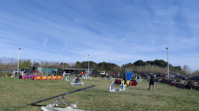 CLUB CANIN DE MONTOU - photo 1