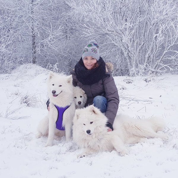 Colo'canine CANIFOREZ - photo 1