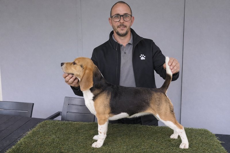 Cavaillé André comportementaliste Canin - photo 1