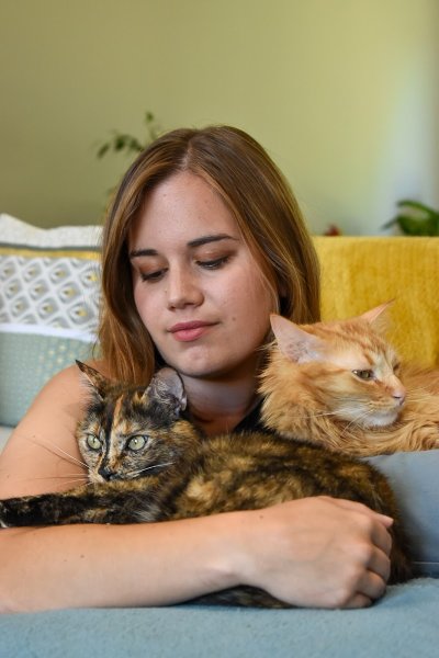 Pet'Attitude - comportementaliste félin & Pet Sitter & création d'accessoires