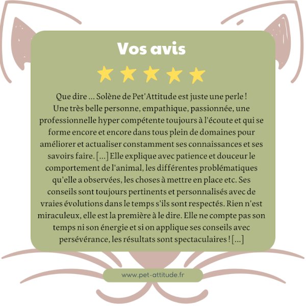 Pet'Attitude - comportementaliste félin & Pet Sitter & création d'accessoires - photo 3