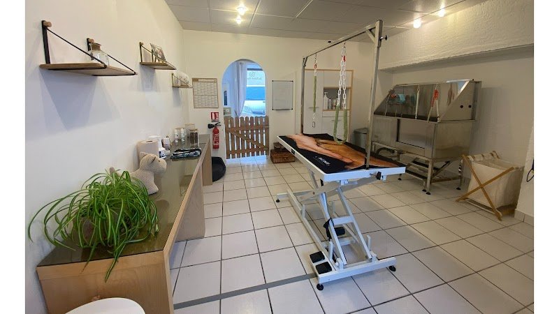 La Toilette Canine - photo 1