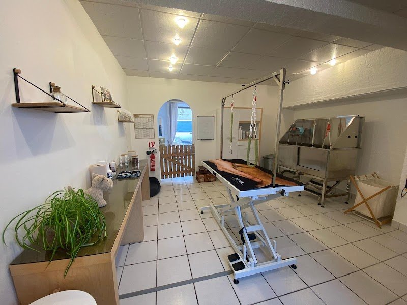 La Toilette Canine - photo 2