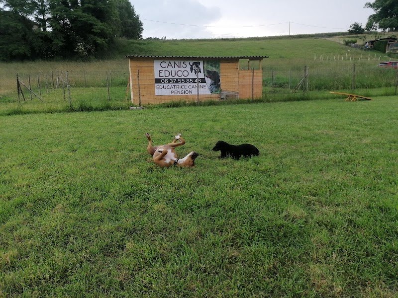 Canis educo - éducatrice canine - photo 3