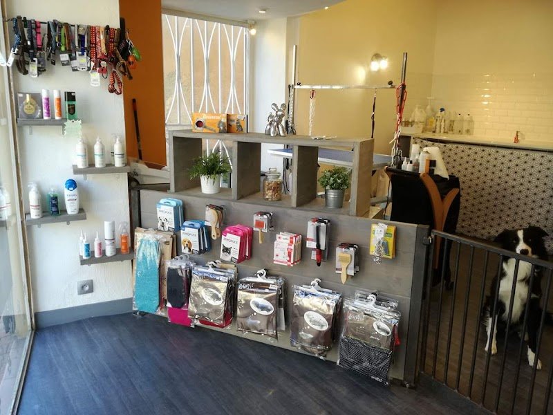 UN TEMPS D'CHIEN - photo 2