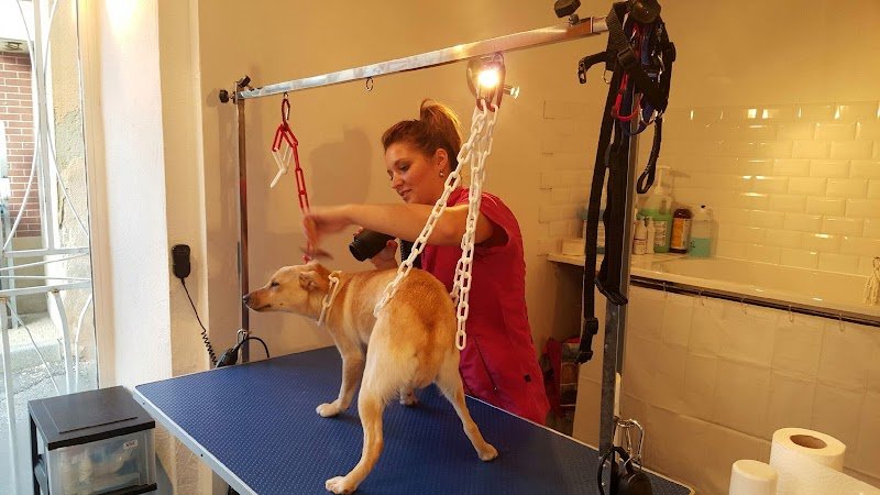 UN TEMPS D'CHIEN - photo 3