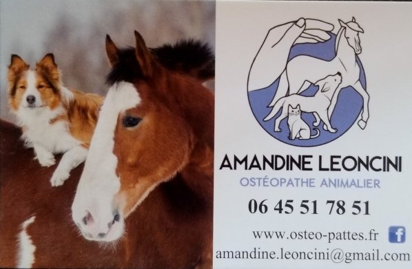 Leoncini Amandine Ostéopathe équin, canin et félin