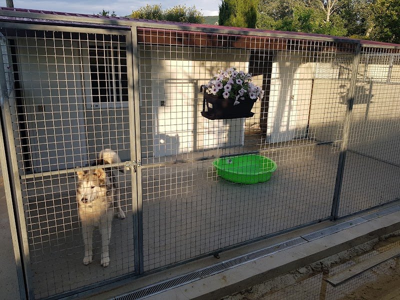 Gite canin La freydière - photo 2