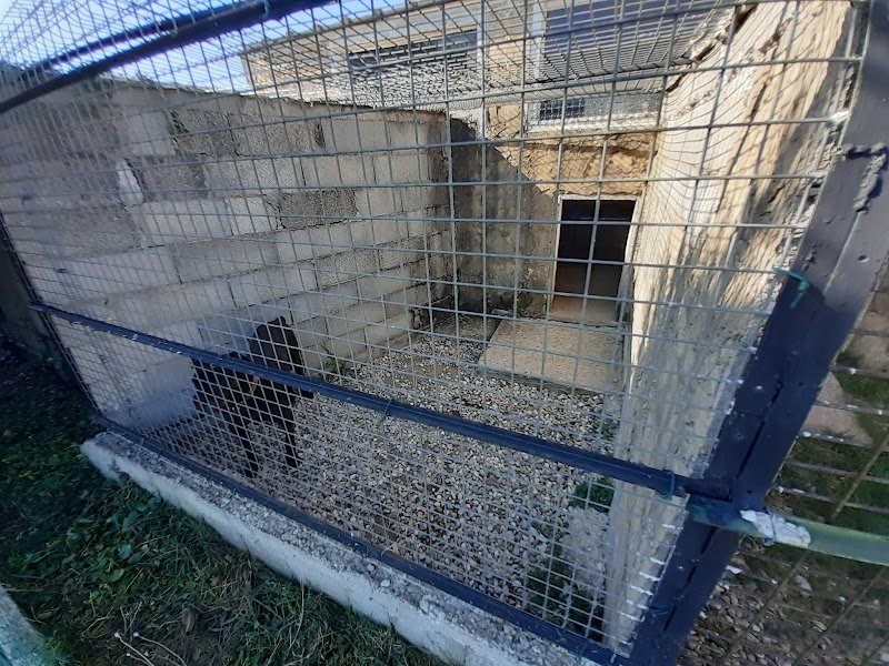 Pension Canine des Andran - photo 3